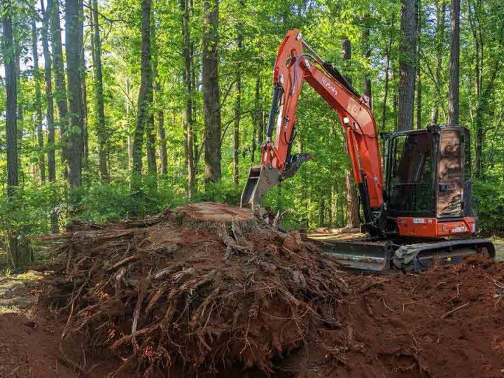 A red and black excavator is in the woods