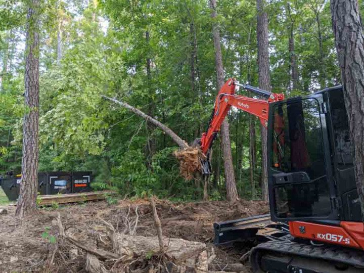 A large tree being cut down by an orange and black tractor.